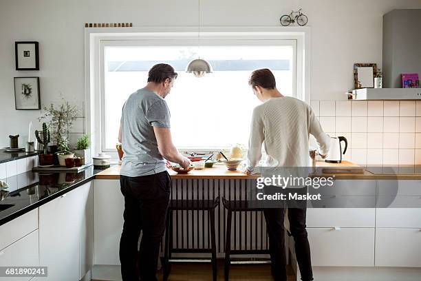 Rear view of father and son preparing food in kitchen at new house