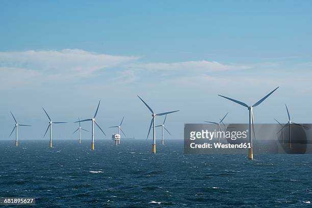 belgium, thorntonbank wind farm - offshore windfarm stock-fotos und bilder