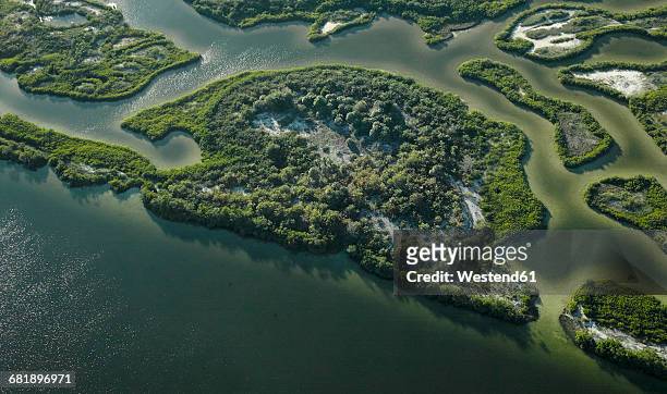 usa, florida, aerial photograph of mangroves and sandbars along the western coastline of tampa bay - tampa florida stock pictures, royalty-free photos & images