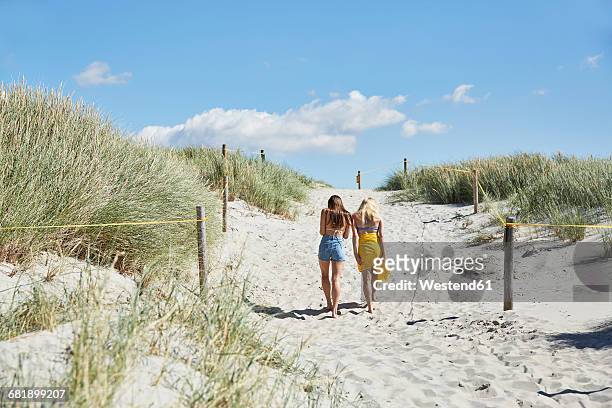 two female friends walking through dunes leaving beach - st peter ording stock pictures, royalty-free photos & images