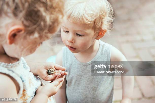 little boy and girl looking at a snail in hand - neugierde stock-fotos und bilder