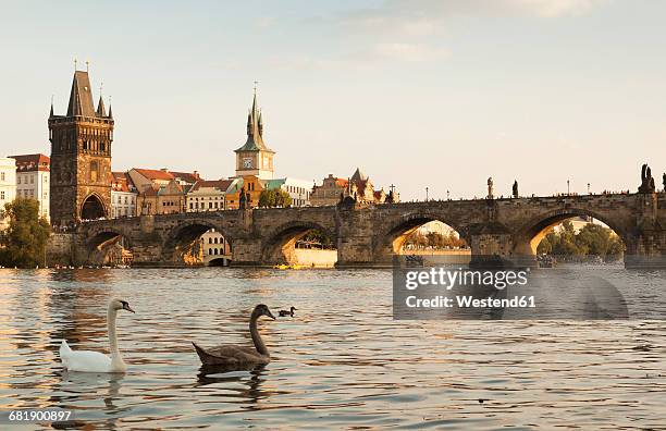 czechia, prague, view to the historic city with old town bridge tower and charles bridge - karlsbrücke stock-fotos und bilder