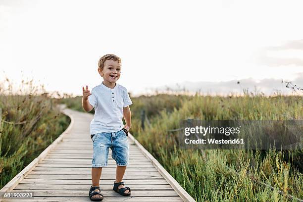 happy little boy standing on boardwalk in nature - boy asking stock pictures, royalty-free photos & images