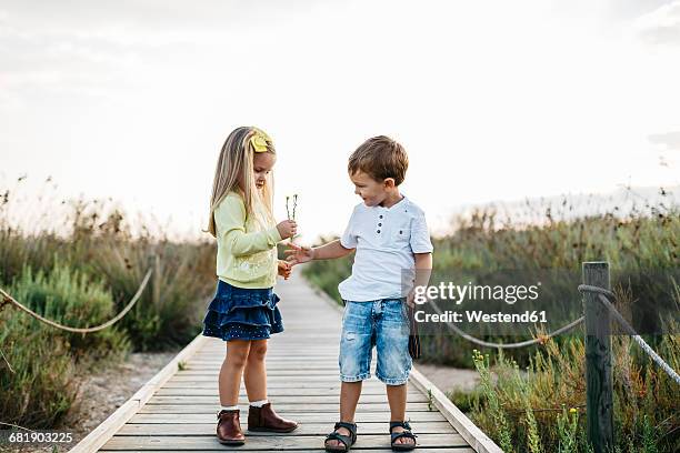 little boy gifting little girl flowers on boardwalk in nature - gift bag stock pictures, royalty-free photos & images