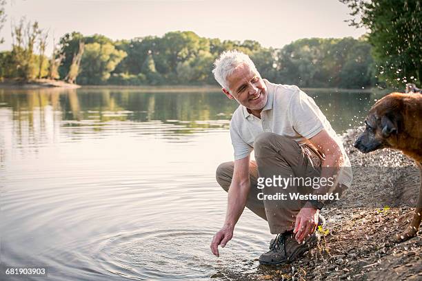 senior man playing with dog at a lake - hockend stock-fotos und bilder