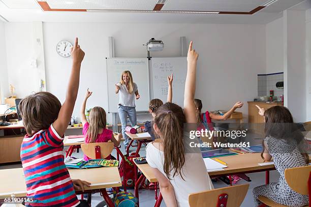 active pupils raising their hands in class - primary school teacher fotografías e imágenes de stock