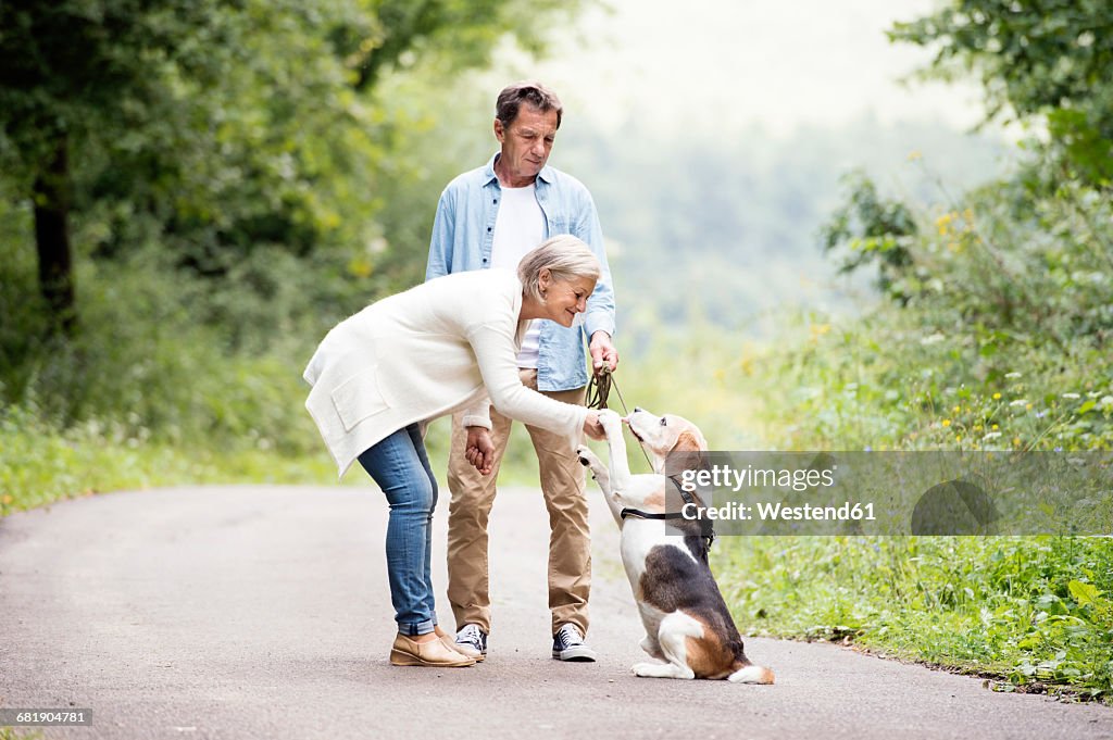 Senior couple with dog in nature