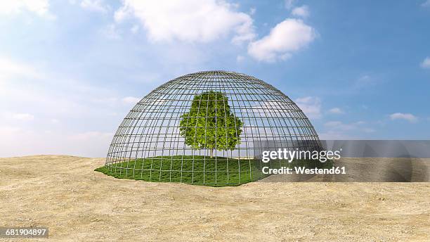 ilustraciones, imágenes clip art, dibujos animados e iconos de stock de tree on grass under domed grid - cúpula sobre tejado