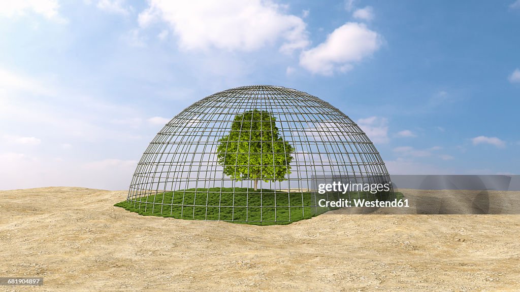 Tree on grass under domed grid