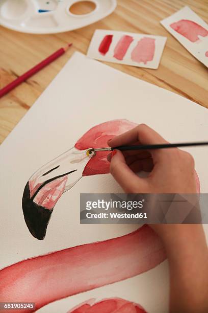 woman's hand painting aquarelle of a flamingo on desk in her studio - artists with animals stockfoto's en -beelden