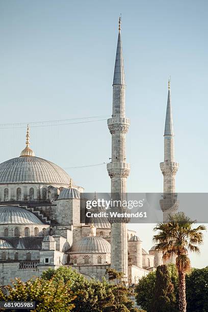 turkey, istanbul, view of blue mosque - mezquita azul fotografías e imágenes de stock