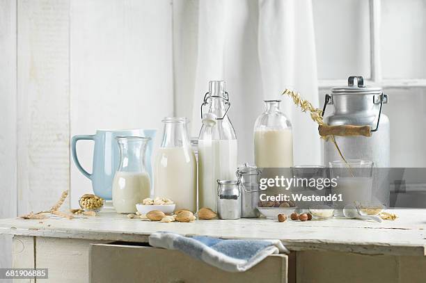 vegan milk, soy milk, almond milk, lactose-free, hazelnut milk, rice milk, oak milk - laktose fotografías e imágenes de stock