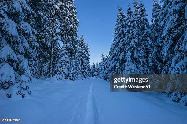 germany, lower saxony, harz national park in the evening - goslar stockfoto's en -beelden