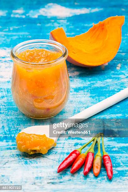 pumpkin chutney and chili - chutney stock pictures, royalty-free photos & images