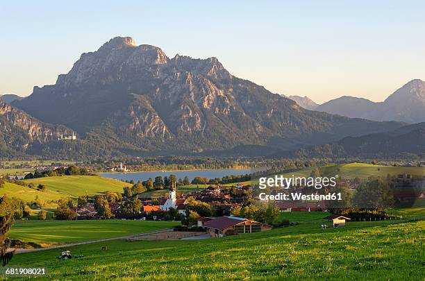 germany, bavaria, east allgaeu, rieden at lake forggensee, neuschwanstein castle, saeuling mountain - neuschwanstein stock pictures, royalty-free photos & images