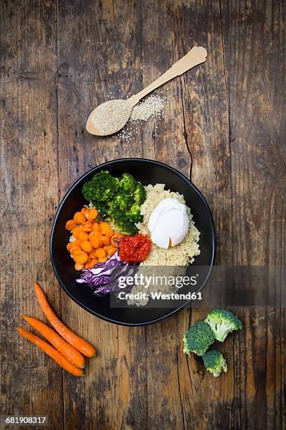 lunch bowl of quinoa, red cabbage, carrots, roasted chickpeas, broccoli, poached egg and ajvar - quinoa and chickpeas stock pictures, royalty-free photos & images
