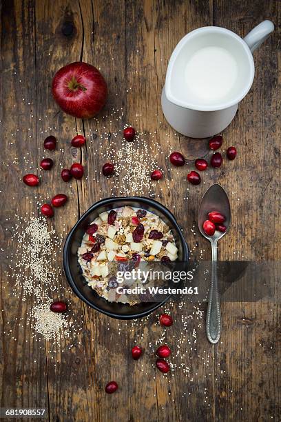 muesli with puffed quinoa, wholemeal oatmeal, raisins, dried cranberries and apple - milk canister stock pictures, royalty-free photos & images