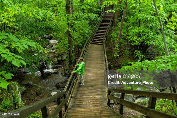 hiking over creek on bridge in great falls virginia - mclean stock pictures, royalty-free photos & images