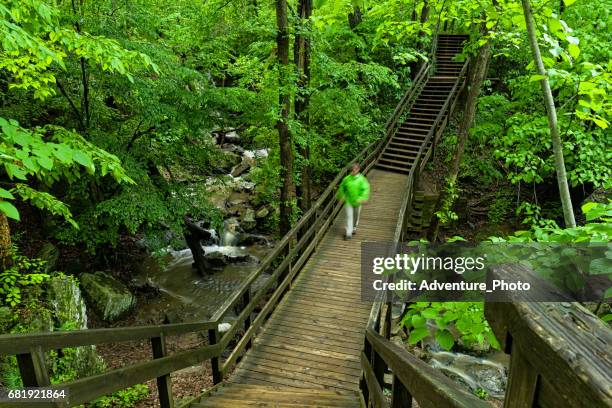 escursioni su creek sul ponte a great falls virginia - mclean foto e immagini stock