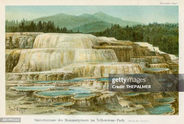 geyser in yellowstone lithograph 1895 - hot spring stock illustrations