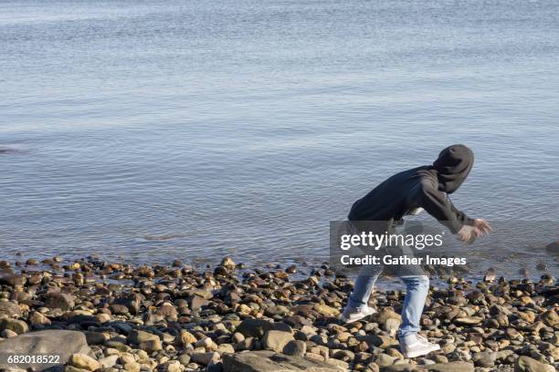 Kipping Rocks How Do I Gather Photos and Premium High Res Pictures - Getty Images