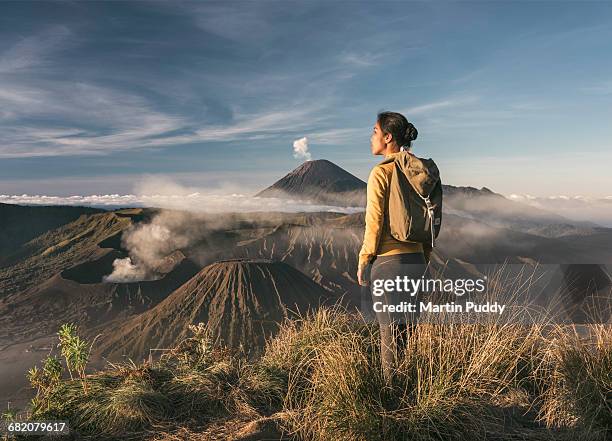 woman standing infront of mount bromo - asian woman dream stockfoto's en -beelden