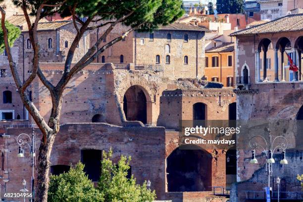 rome, roman forum - cultura italiana stock-fotos und bilder