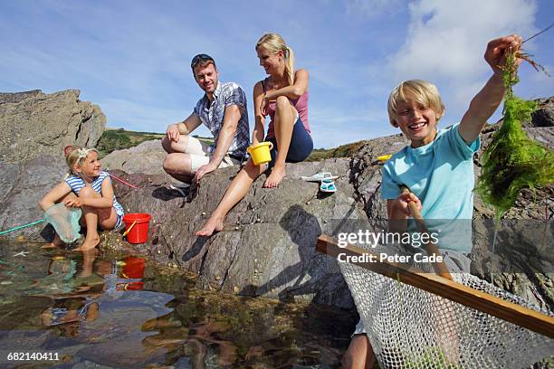 family on beach playing in rock pool - front view portrait of four children sitting on rock stock-fotos und bilder