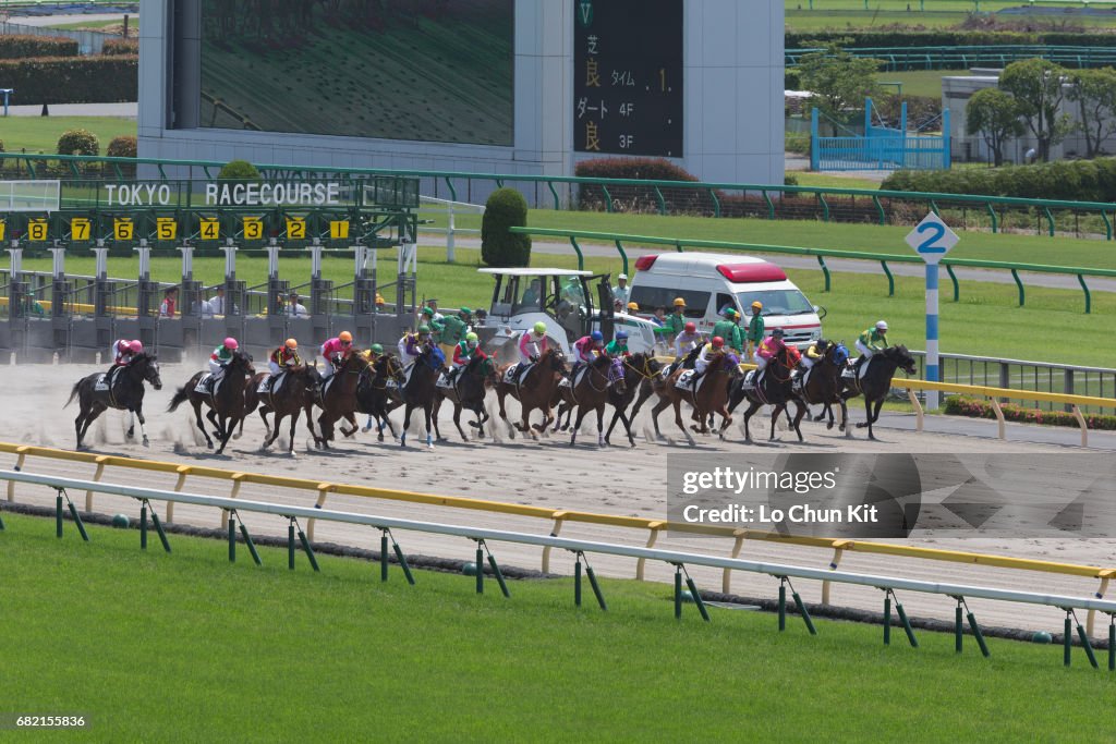 Horse Racing in Japan - Tokyo Racecourse