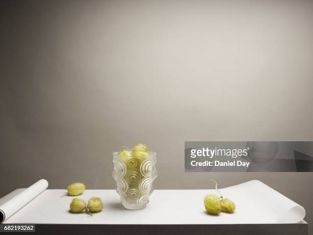 Vase standing on a white plinth covered by wax paper with green flower pods lying around it