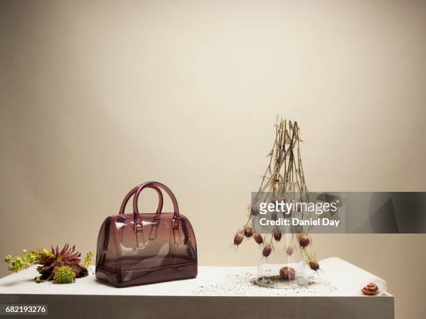 transparent handbag on table surface with plants, grass and soil around it - handbag stock pictures, royalty-free photos & images