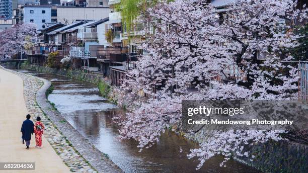 love in kyoto - cherry blossom japan stock pictures, royalty-free photos & images