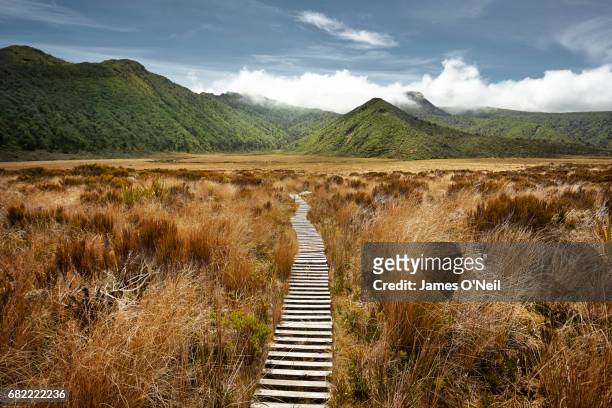 empty hiking path in open landscape - footpath stock pictures, royalty-free photos & images