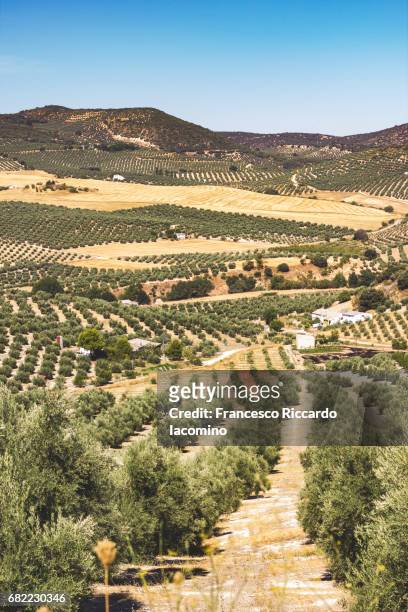 spain, la mancha landscape - francesco riccardo iacomino spain stock pictures, royalty-free photos & images