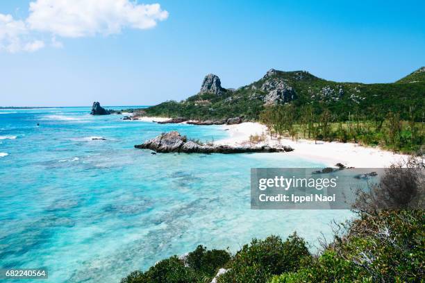 beautiful tropical beach and clear blue water, okinawa, japan - okinawa japan stockfoto's en -beelden