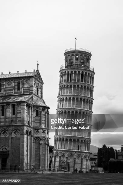 pisa tower - itália fotografías e imágenes de stock