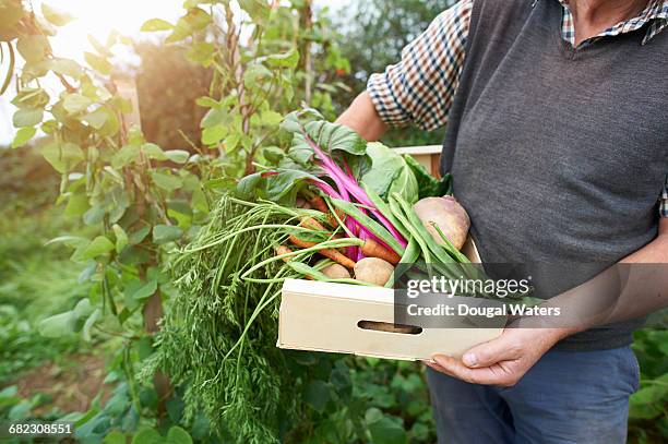 Bulging Box Vegetable 158 Man Pants Bulge Stock Photos, High-Res Pictures, and Images - Getty ...