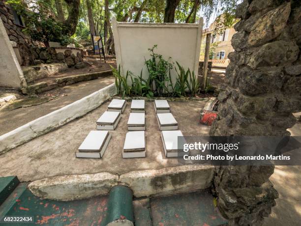 bird cemetery - cemitério stockfoto's en -beelden