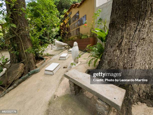 bird cemetery - américa do sul stock pictures, royalty-free photos & images