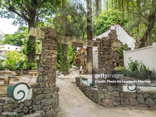 bird cemetery - américa do sul stock pictures, royalty-free photos & images