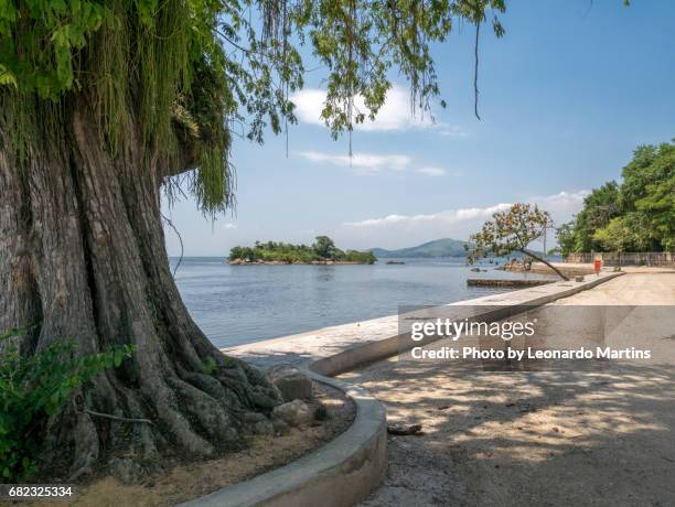 paquetá island - distrito residencial stock pictures, royalty-free photos & images