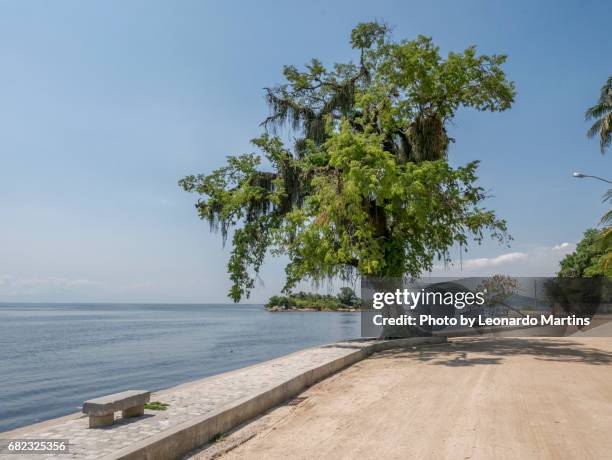 paquetá island - distrito residencial stock pictures, royalty-free photos & images