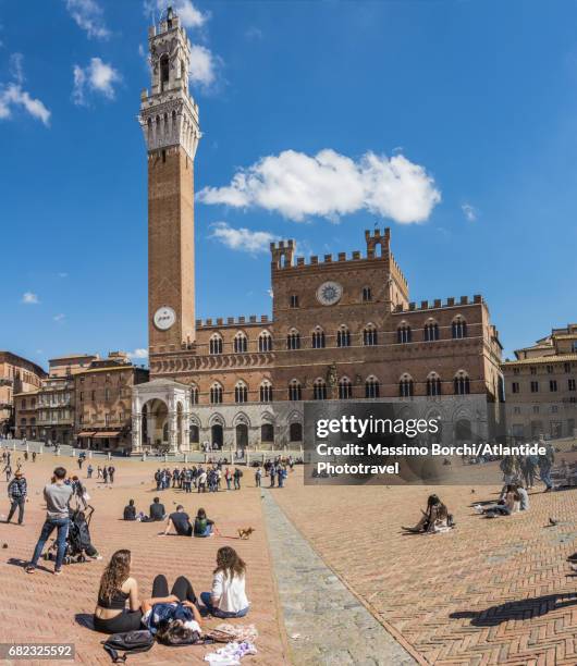 piazza del campo - palazzo pubblico stock pictures, royalty-free photos & images