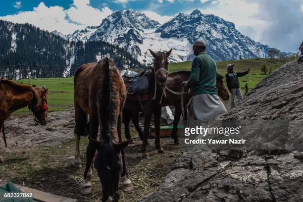Kashimri men wait for tourists with their ponies near Thajiwas glacier on way to the Zojila pass after the Srinagar-Leh highway was thrown open by...