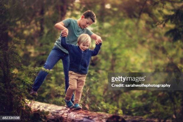 children balancing on a log in a forest - children only stock-fotos und bilder