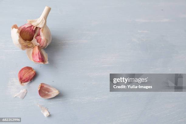 fresh partially peeled garlic bulb - zierlauch stock-fotos und bilder