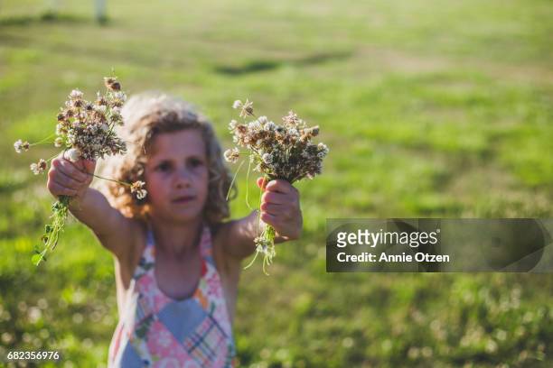 Girl Holding Flowers She Picked