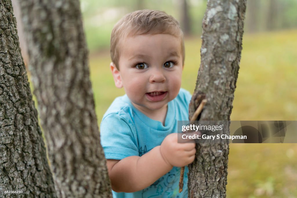 Toddler playing outside on a tree.