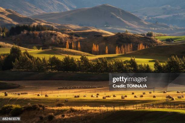 south, new zealand in autumn season - rural new zealand stock pictures, royalty-free photos & images