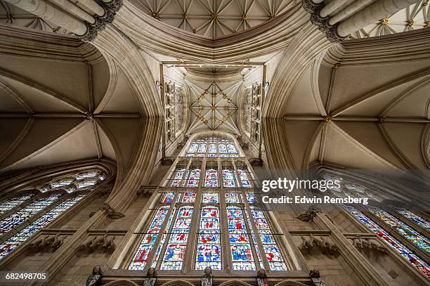 celing of the york minster - york minster stock pictures, royalty-free photos & images